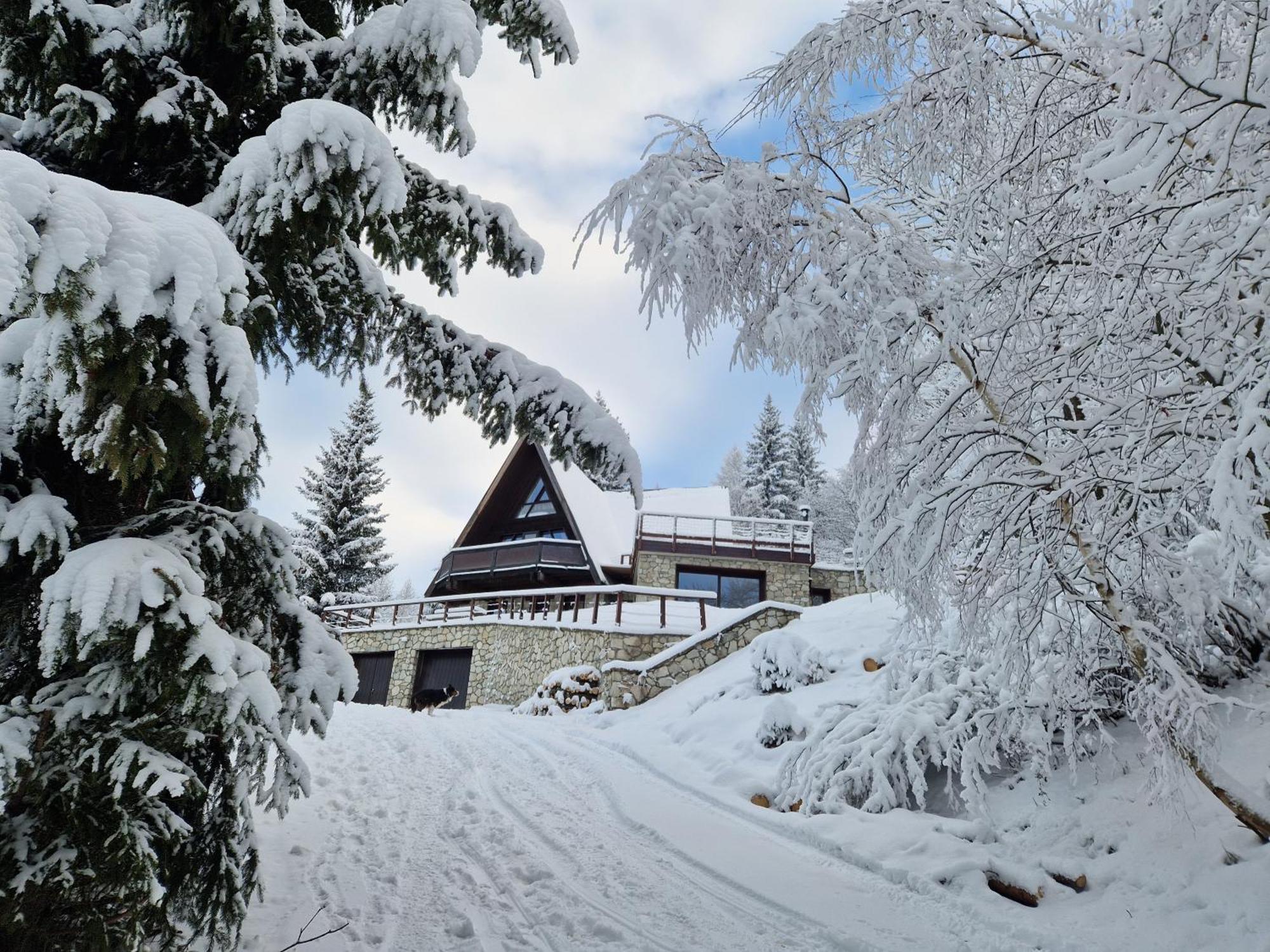 Le Chalet Pointu De Capucine Bourg-Saint-Maurice Exteriör bild